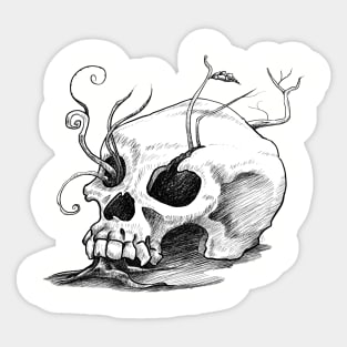 CAVEIRA / SKULL Sticker